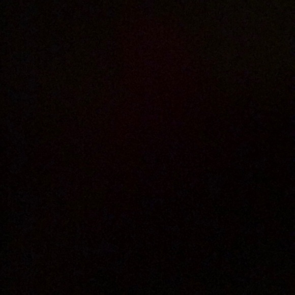 Meet your Posher, Wyatt - Picture 1 of 1